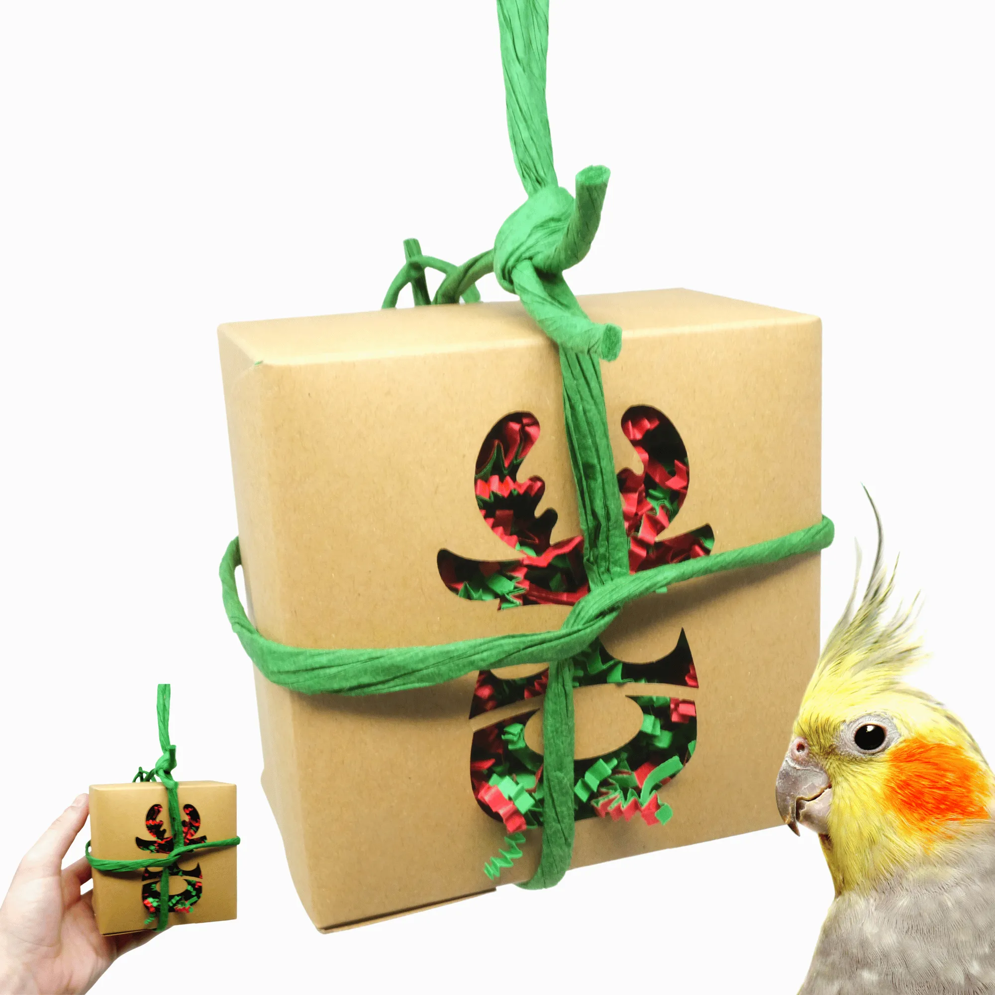 2985 Natural Christmas Box