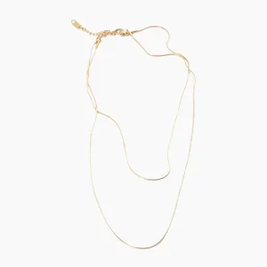 Double Layered Necklace