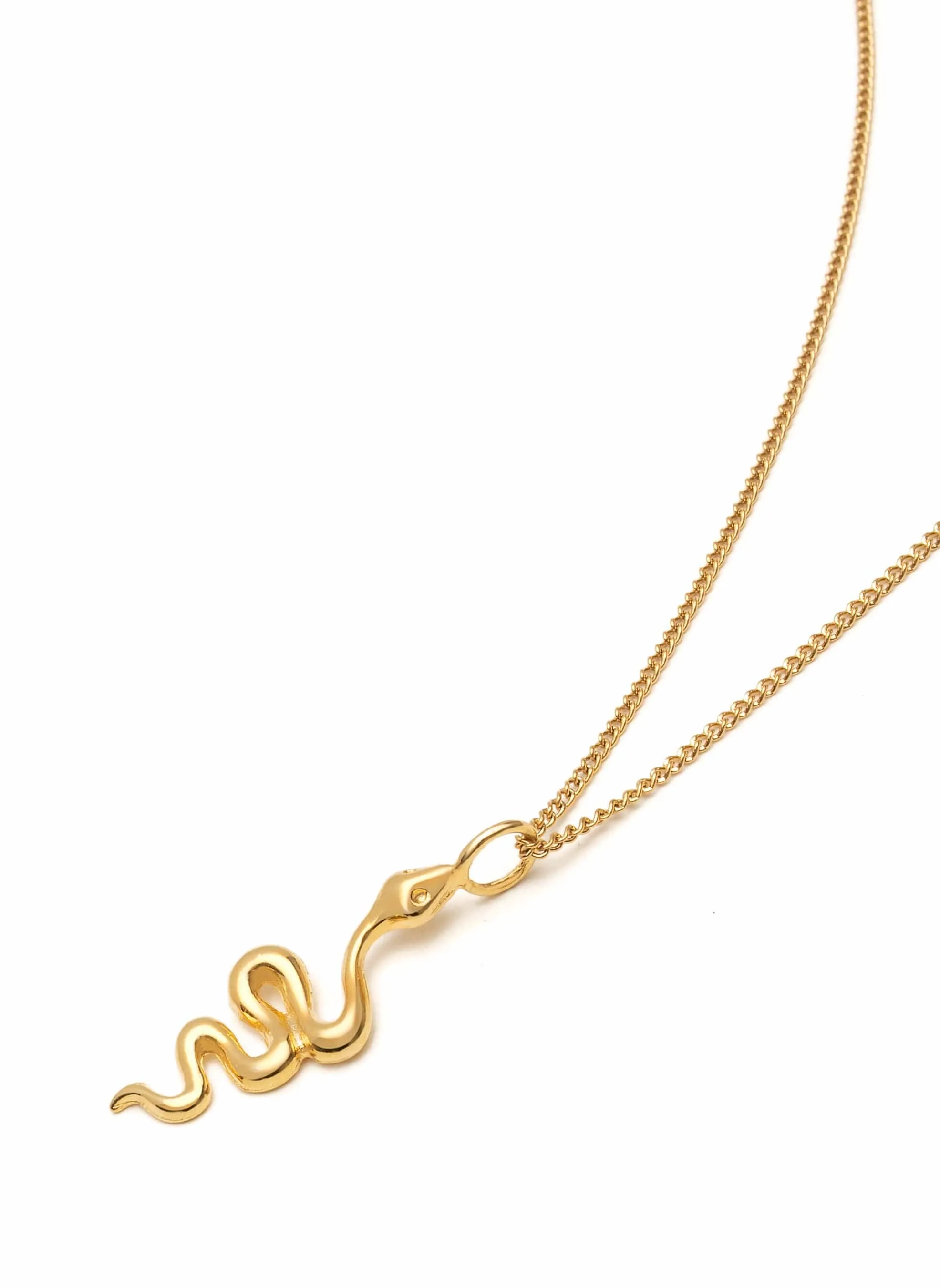 Gold Necklace with Mini Snake Pendant