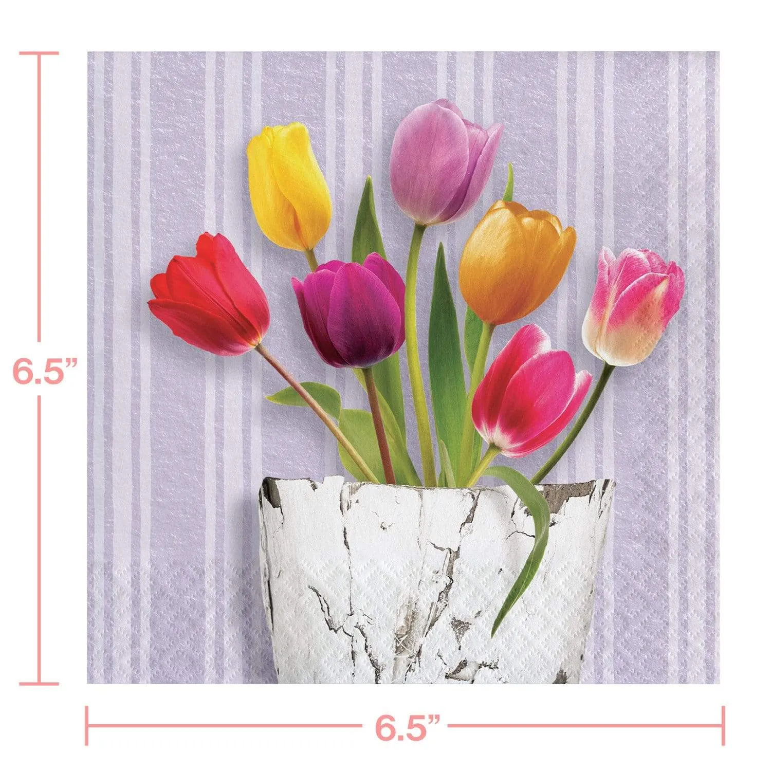 Spring Tulips Watering Can Paper Dinner Plates and Luncheon Napkins (Serves 16)