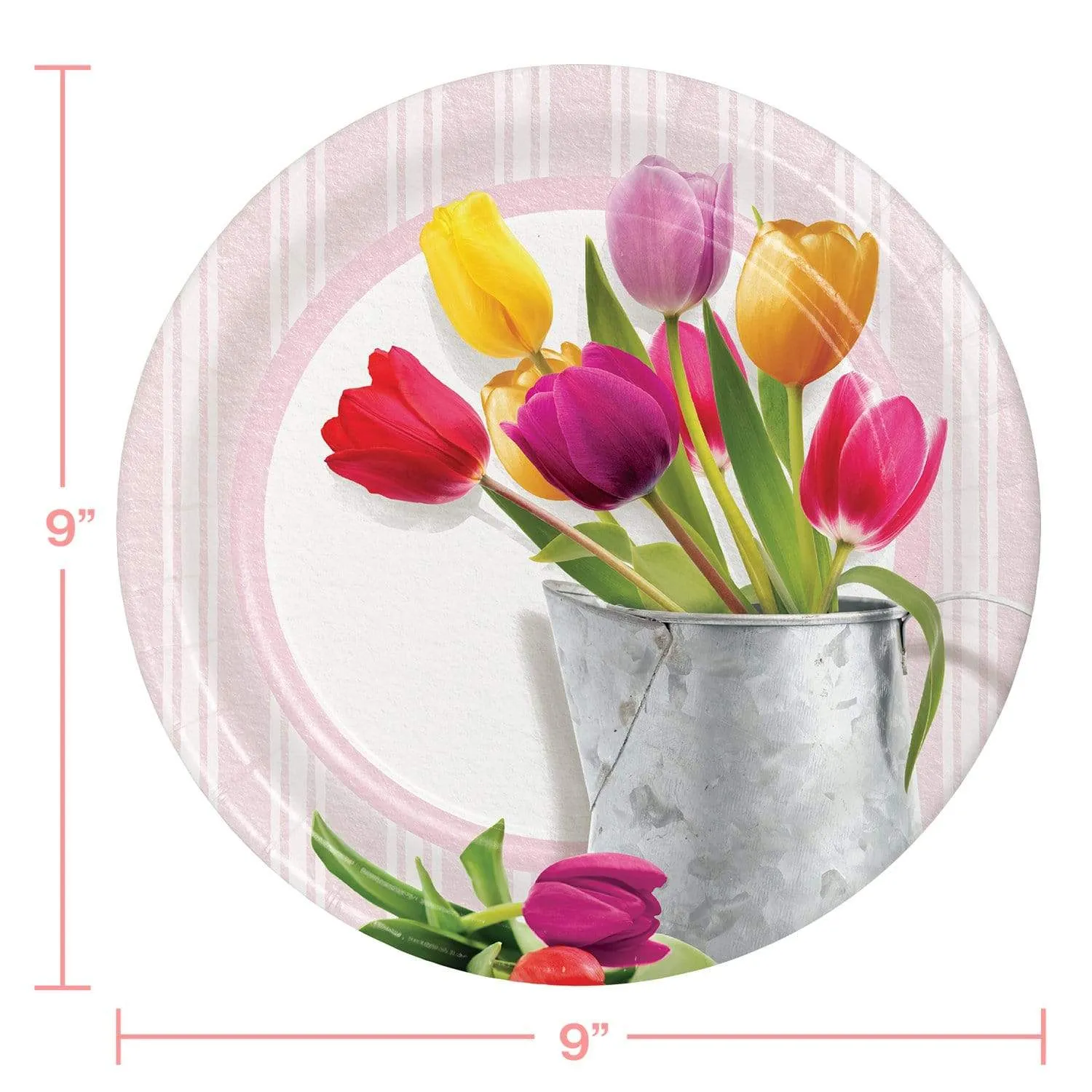 Spring Tulips Watering Can Paper Dinner Plates and Luncheon Napkins (Serves 16)