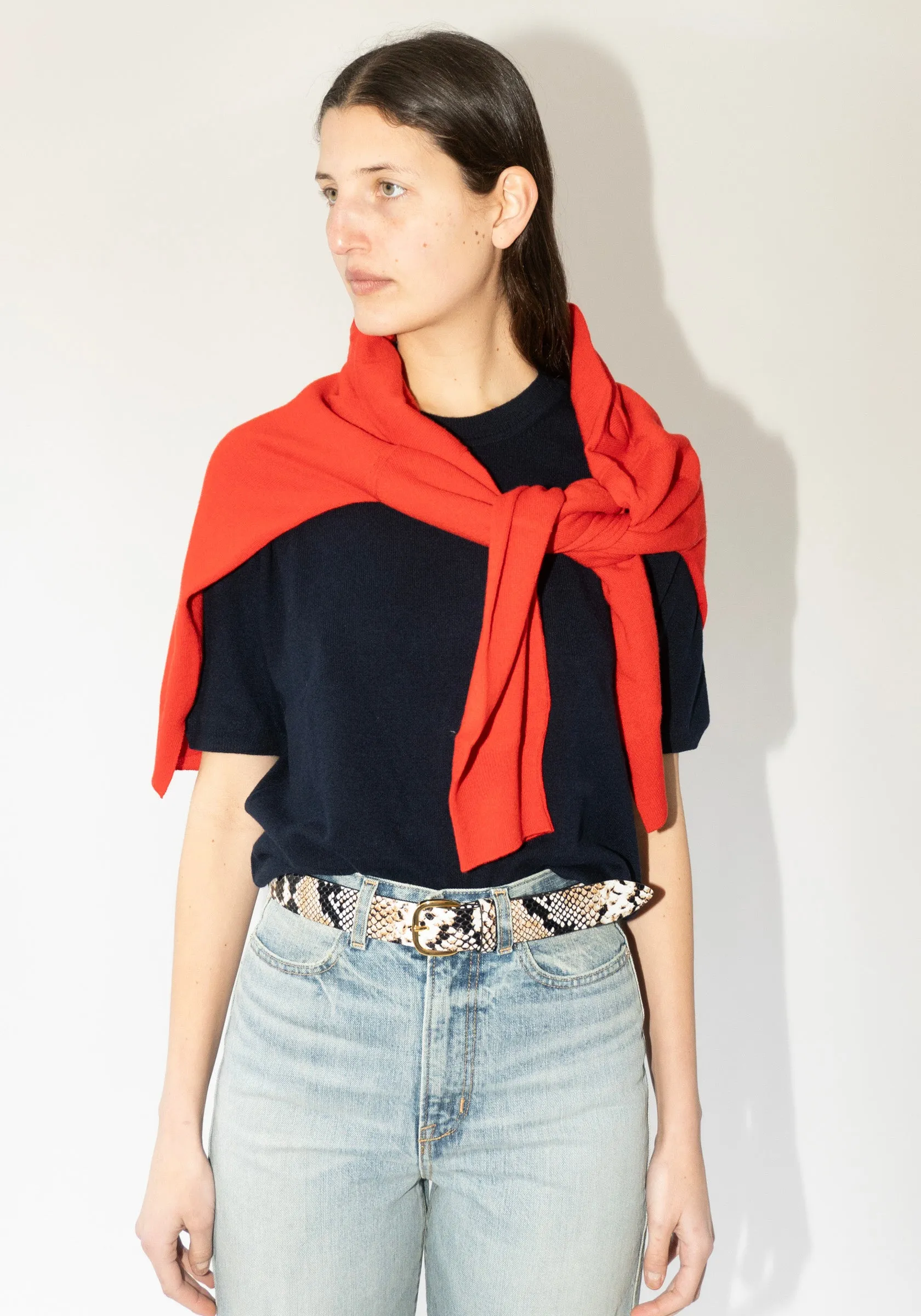 Tahra V Neck Sweater in Poppy Red